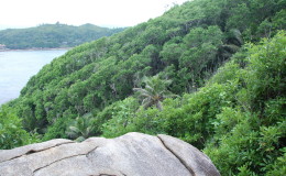 Seychellen-Moyenne-019-Round-Island