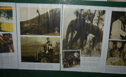 Seychellen-Moyenne-063
