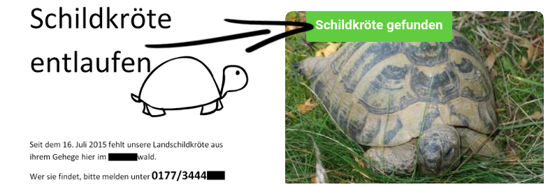 Schildkröte entlaufen, vermisst oder gefunden?