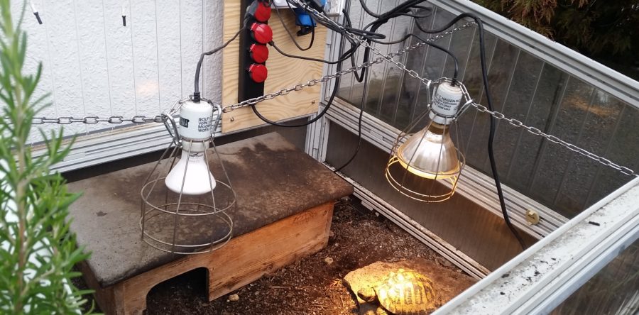 Frühbeet-Technik für Griechische Landschildkröten