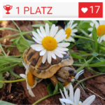 Fotos des Monats Mai 2018