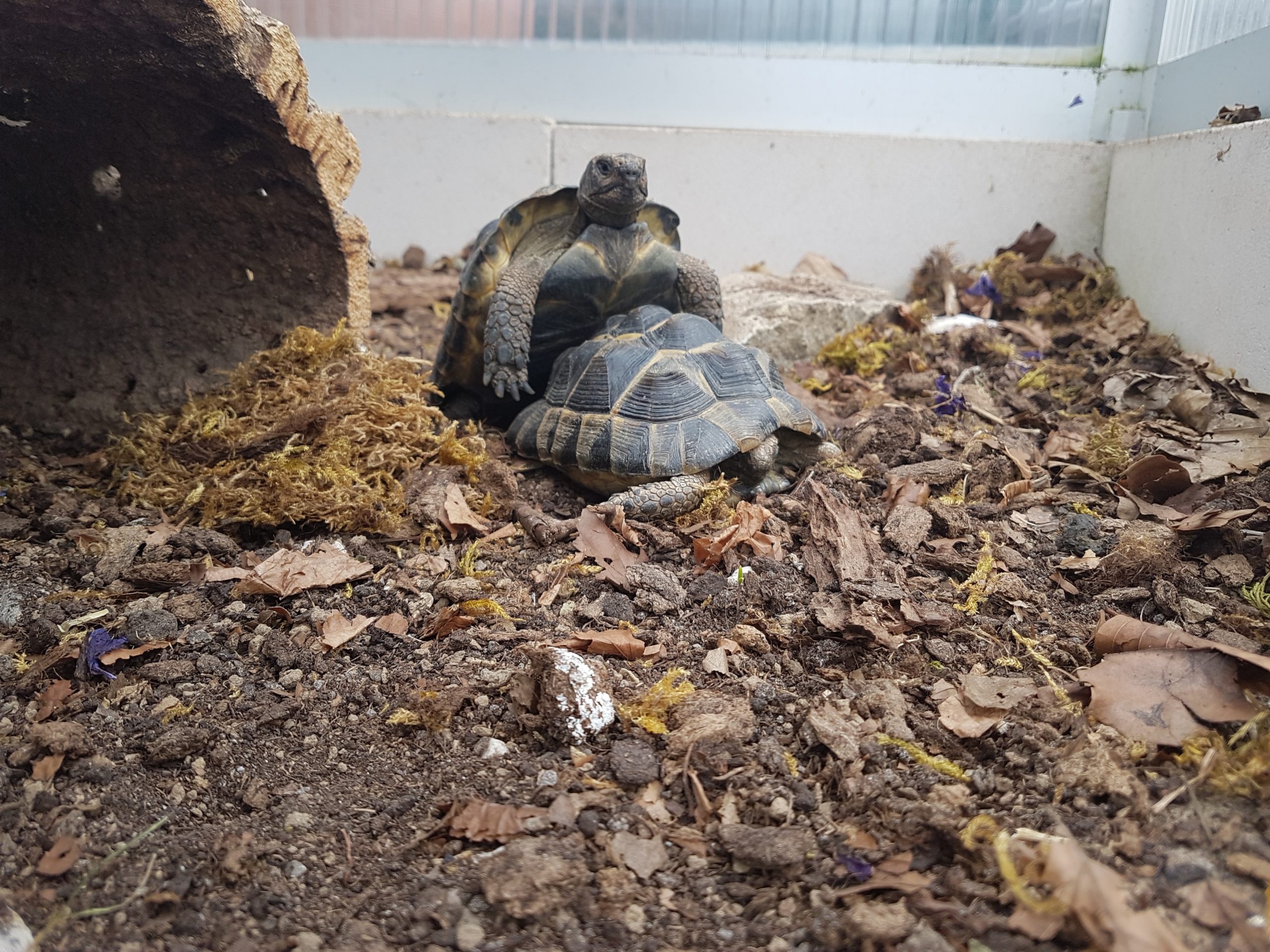 OMG Frühling fängt jetzt erst an