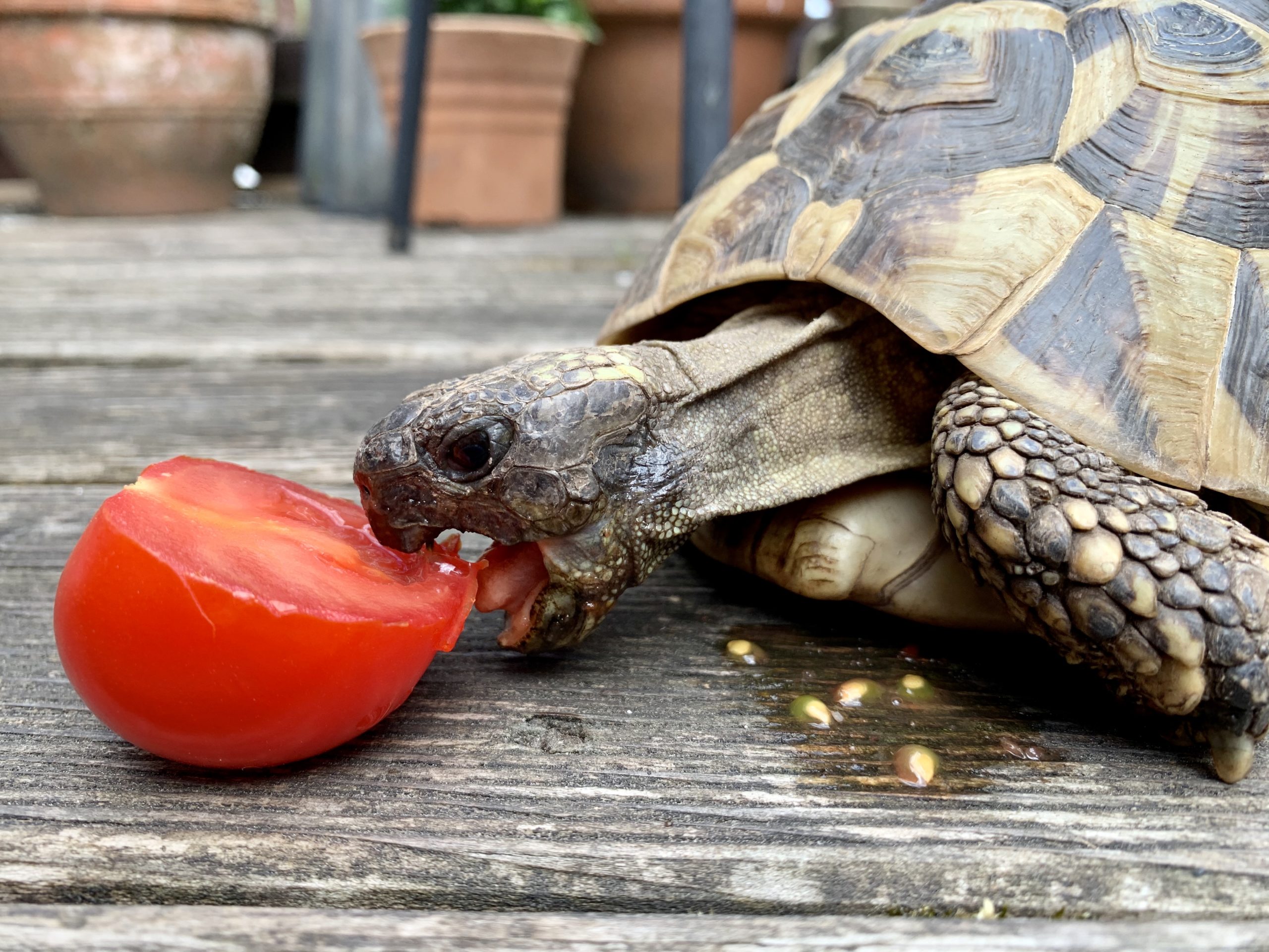 Unsere Johanna beim Essen