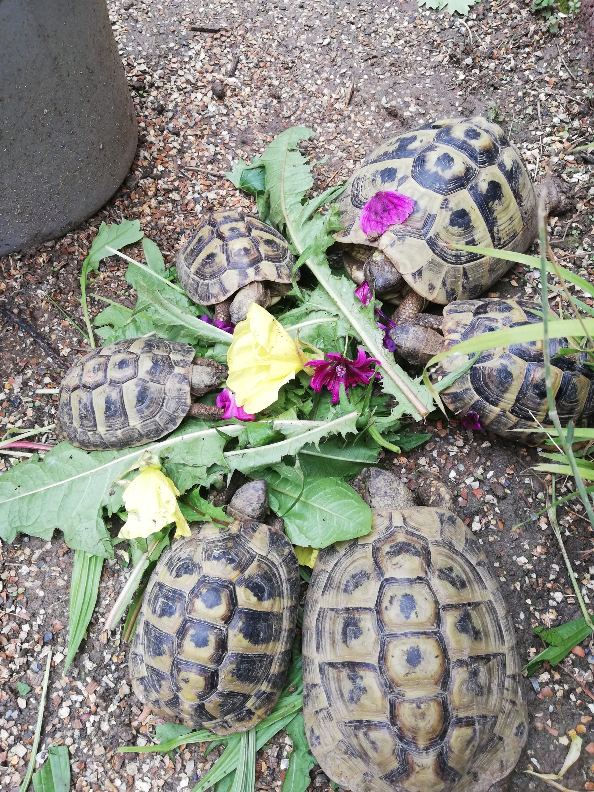 Gemeinsam schmeckt es am Besten von Mutter Natur