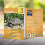 Schildkröte auf dem Fußboden in der Wohnung halten?