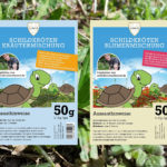 Schildkroeten-Samenmischung-Kraeutermischung-Blumenmischung